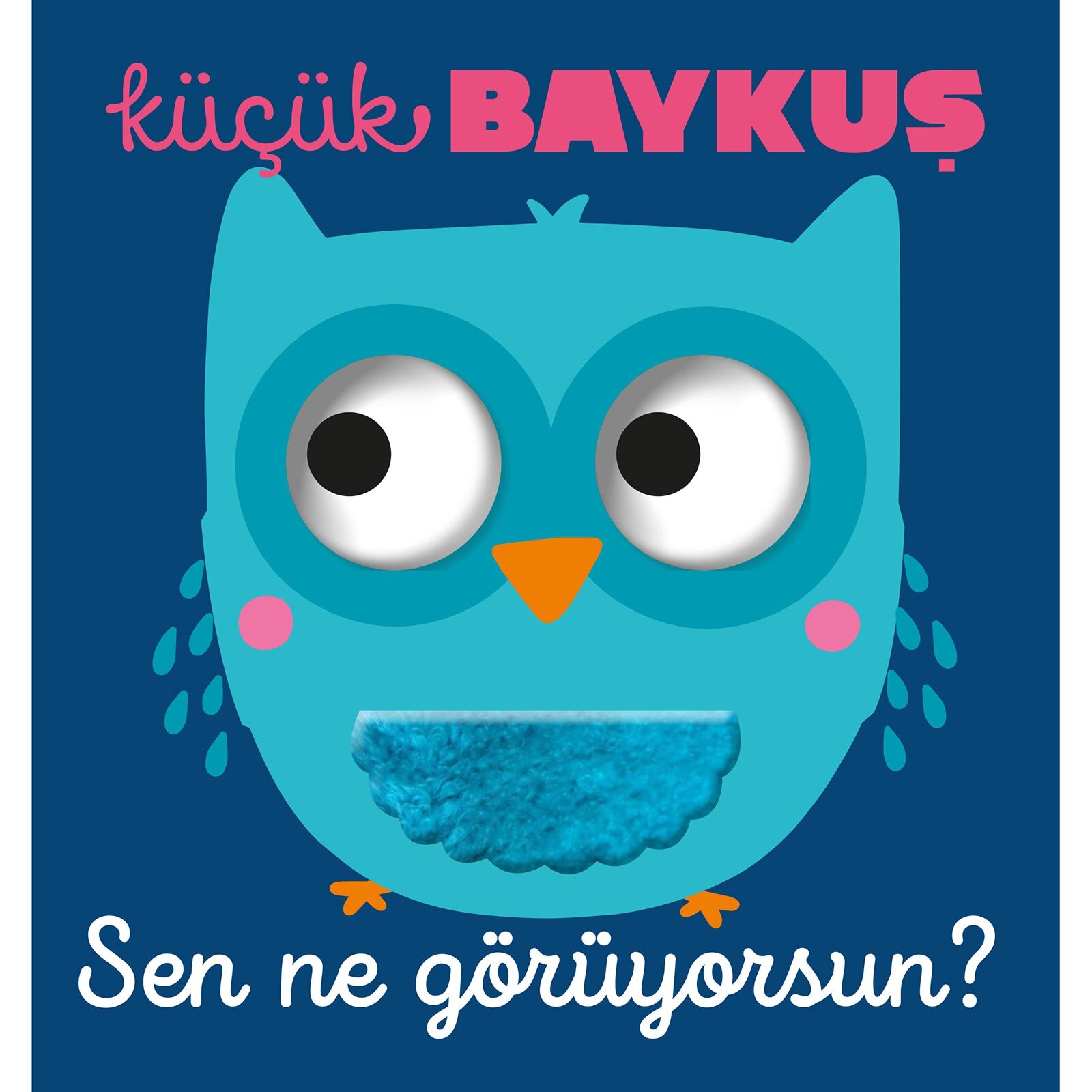 Sen Ne Görüyorsun - Küçük Baykuş (Dokun ve Hissetli) Sen Ne Görüyorsun - Küçük Baykuş (Dokun ve Hissetli)
