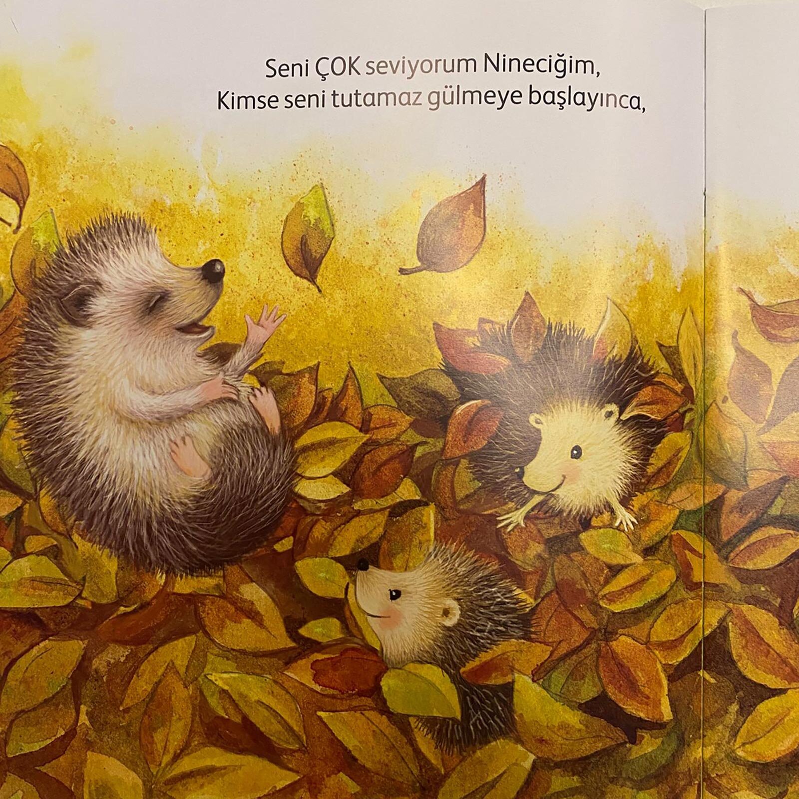 Seni Seviyorum Nineciğim