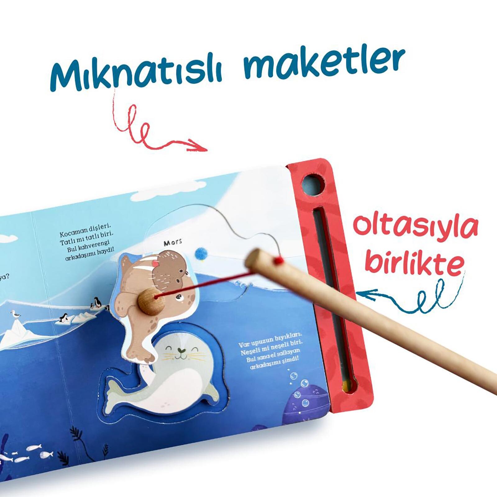 Senin Sayende Tanışalım Mı? Oltalı Kitap