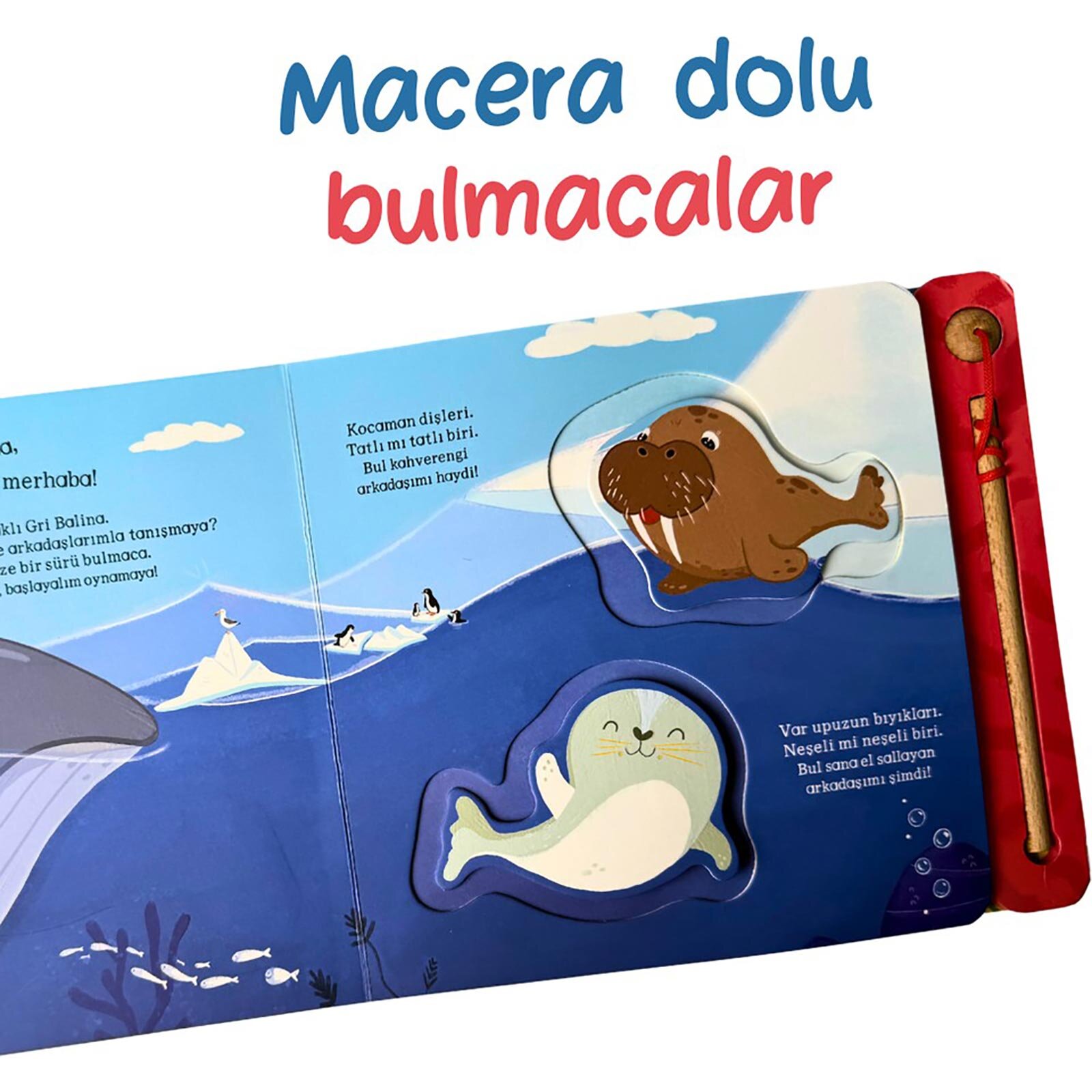 Senin Sayende Tanışalım Mı? Oltalı Kitap