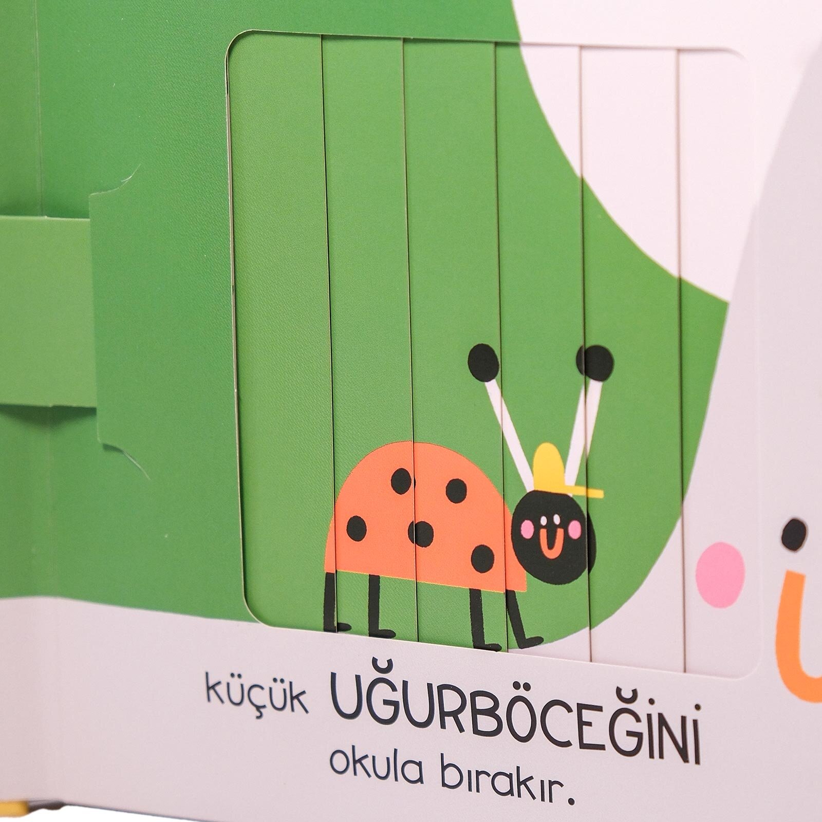 Sihirli Penceler- Kelimeler/Renkler/Hayvanlar