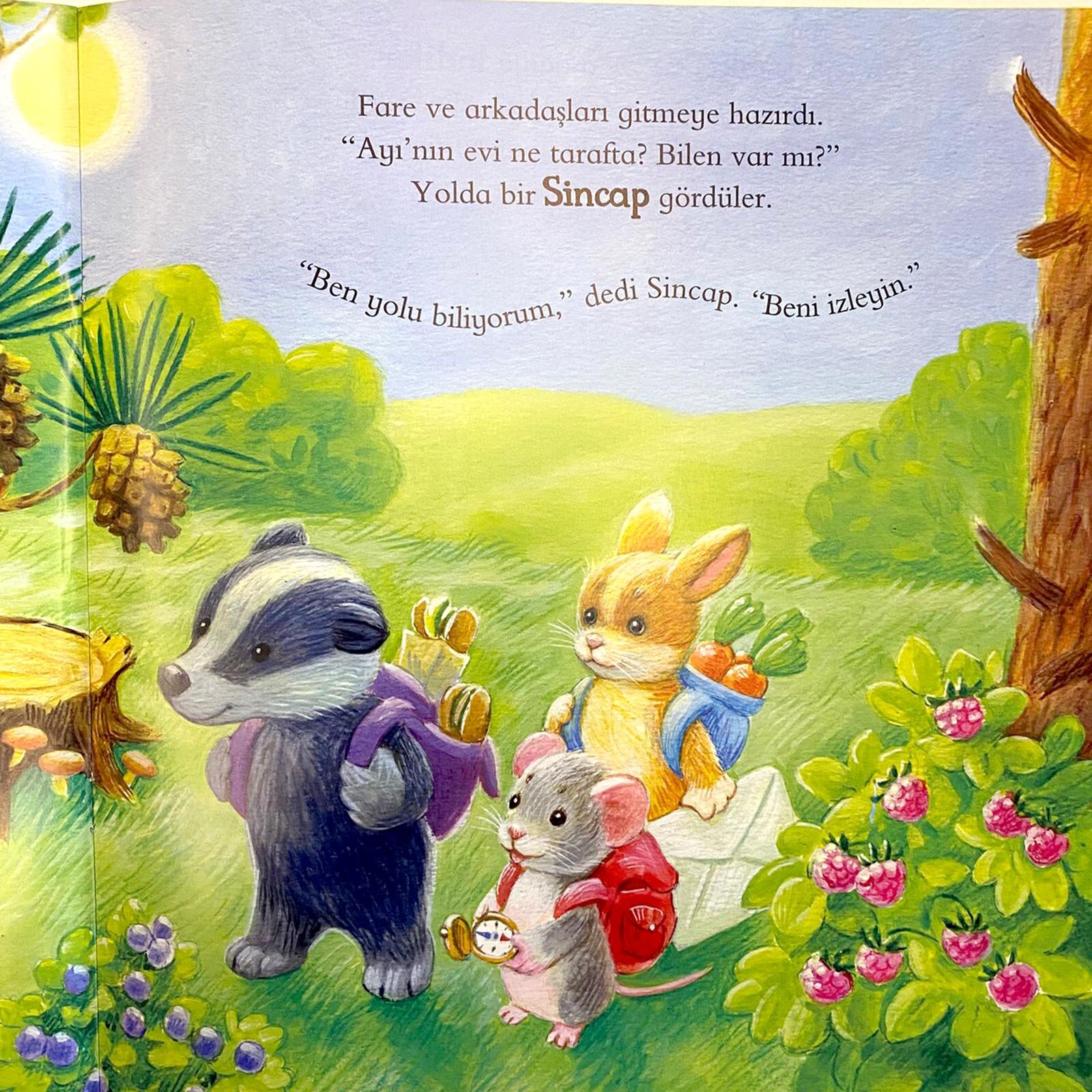 Sıkı Dostlar Hiç Ayrılmaz