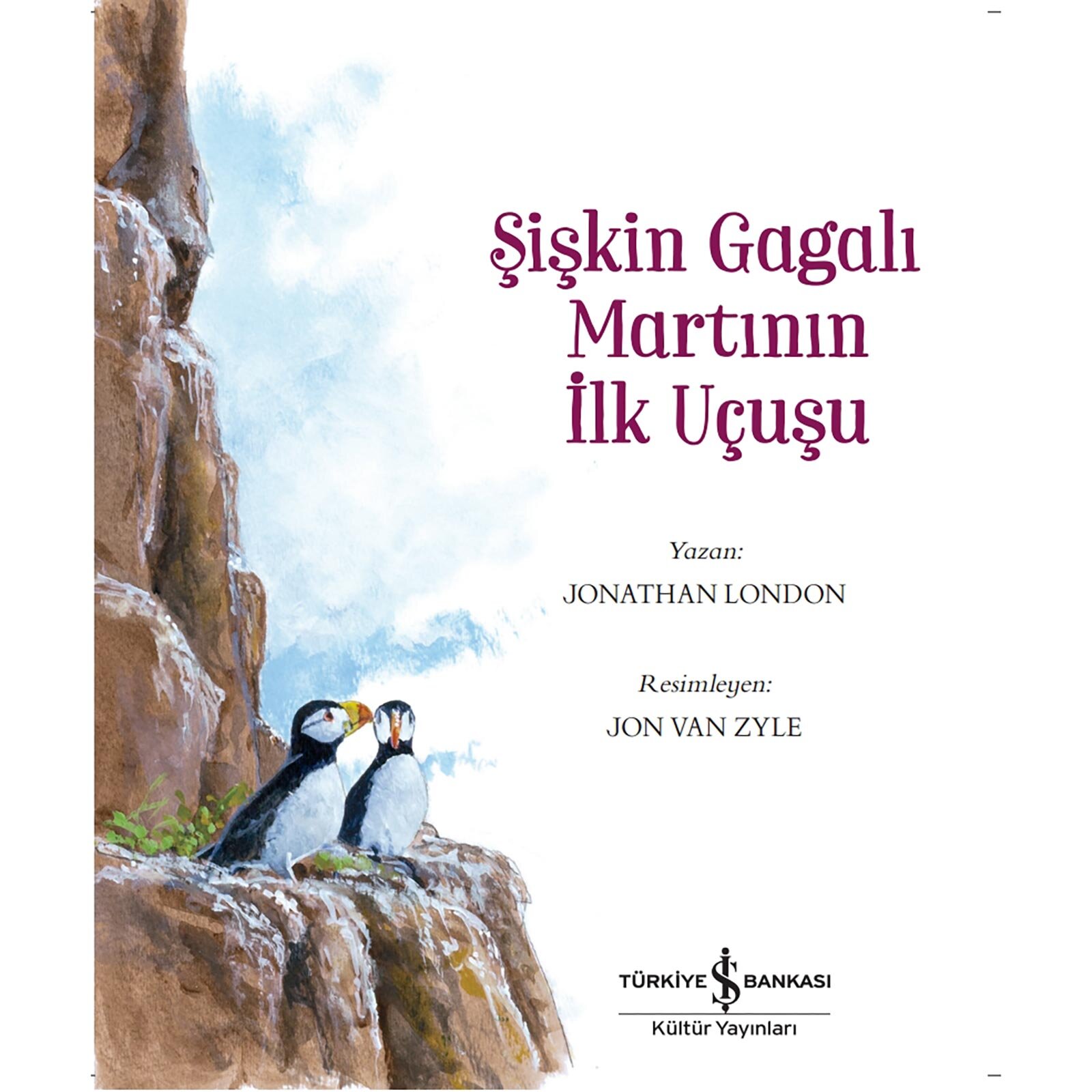 Şişkin Gagalı Martının İlk Uçuşu