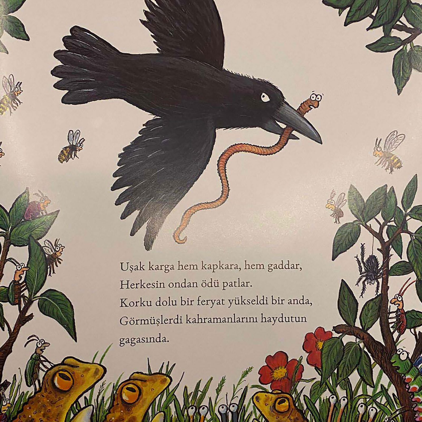 Süper Kurti Süper Kurti