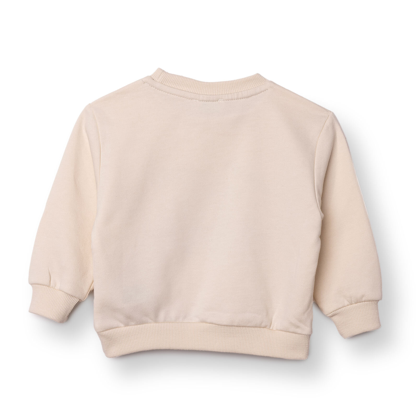 Erkek Bebek Sweatshirt Şardonlu İki İplik Bisiklet Yaka Uzun Kol Erkek Bebek Sweatshirt Şardonlu İki İplik Bisiklet Yaka Uzun Kol