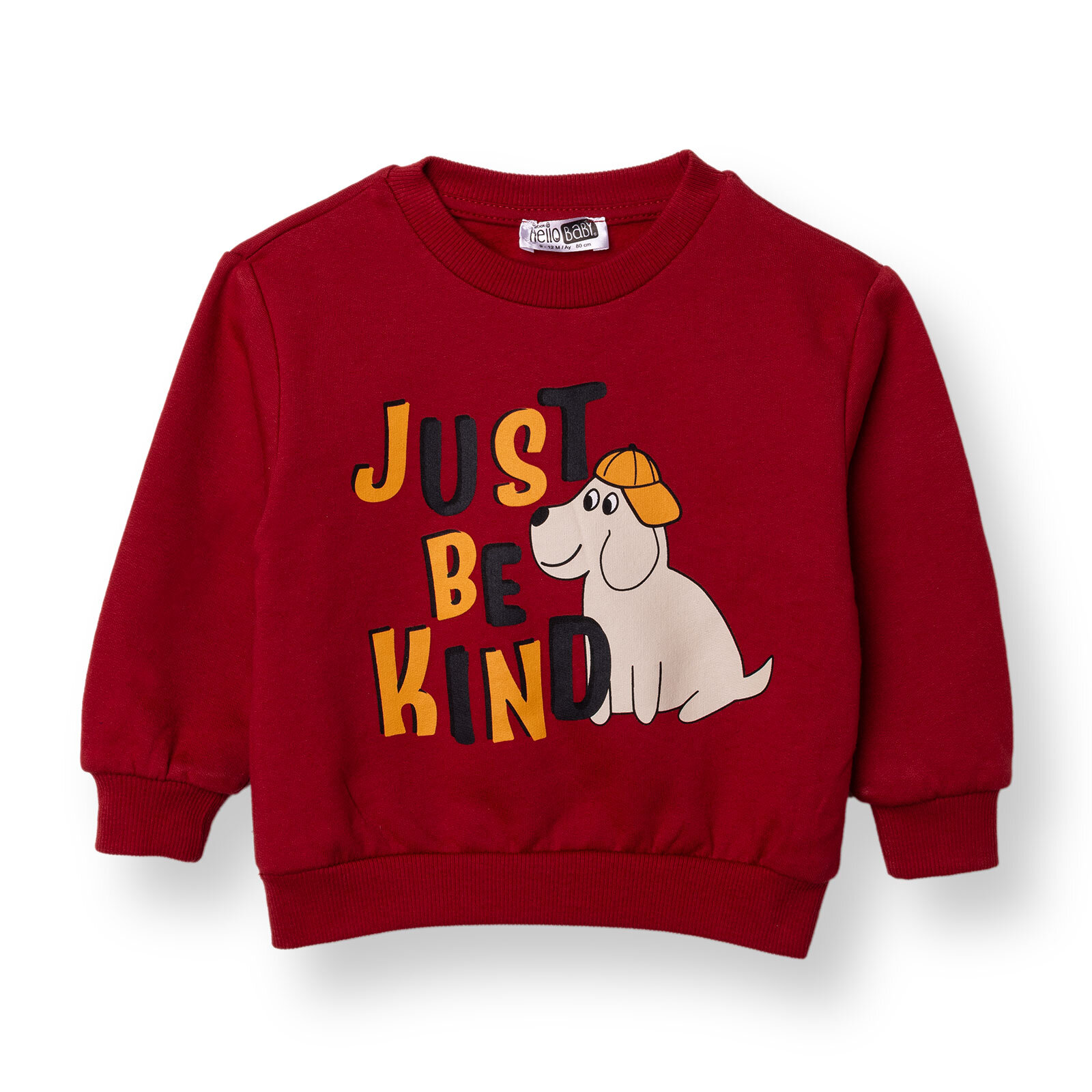 Erkek Bebek Sweatshirt Şardonlu İki İplik Bisiklet Yaka Uzun Kol