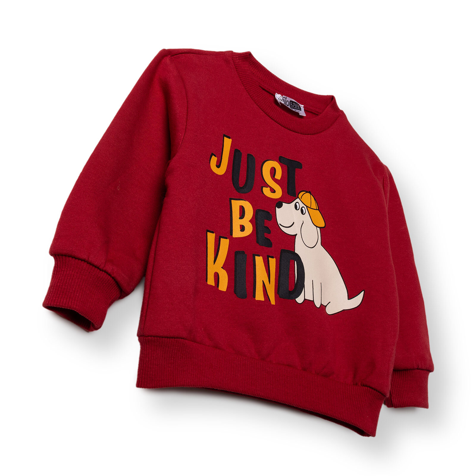 Erkek Bebek Sweatshirt Şardonlu İki İplik Bisiklet Yaka Uzun Kol