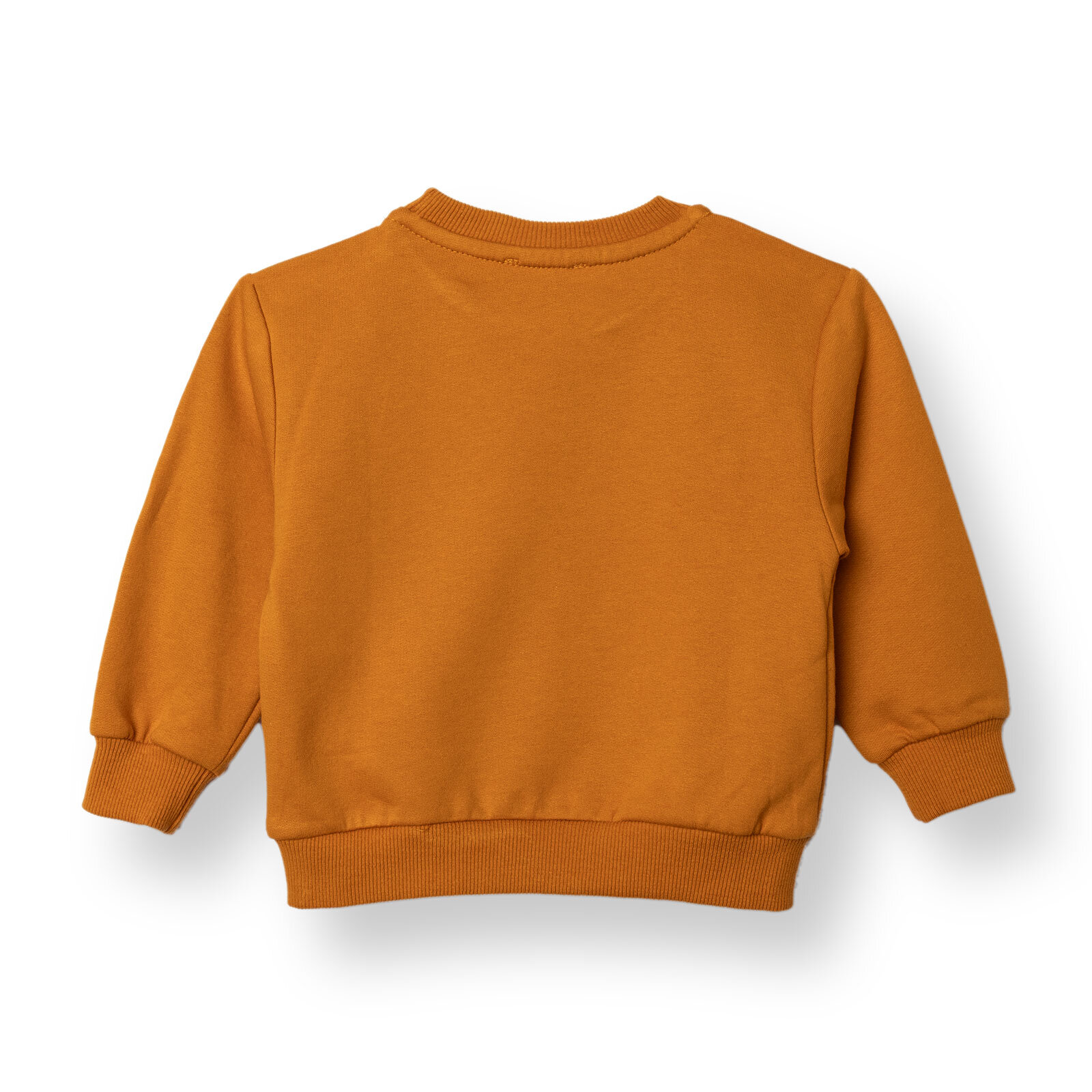 Erkek Bebek Sweatshirt Şardonlu İki İplik Uzun Kol