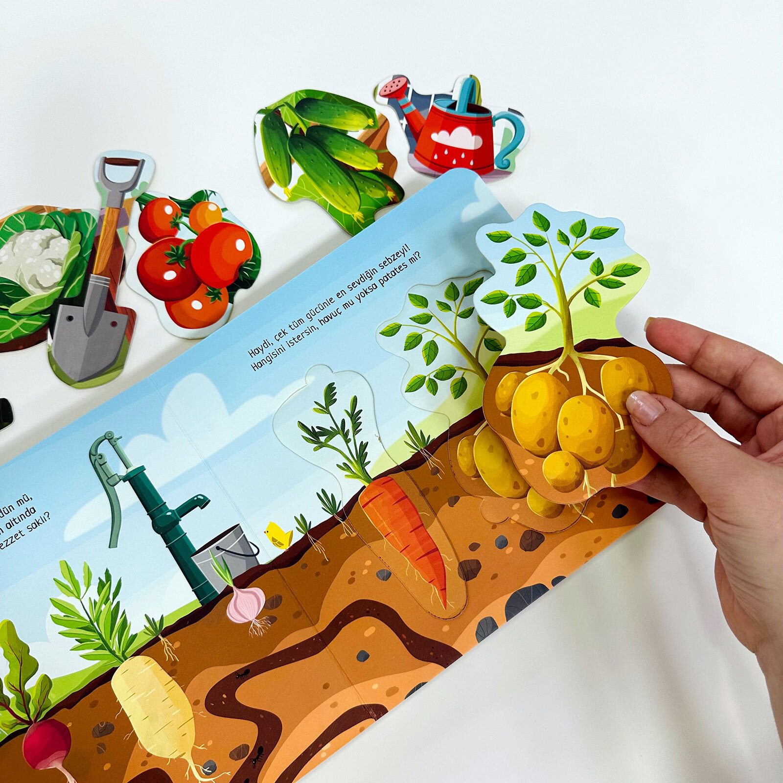 Tadını Çıkar: Bağ Bahçe (Tak-Çıkar) - Ceren Çukadar Tadını Çıkar: Bağ Bahçe (Tak-Çıkar) - Ceren Çukadar