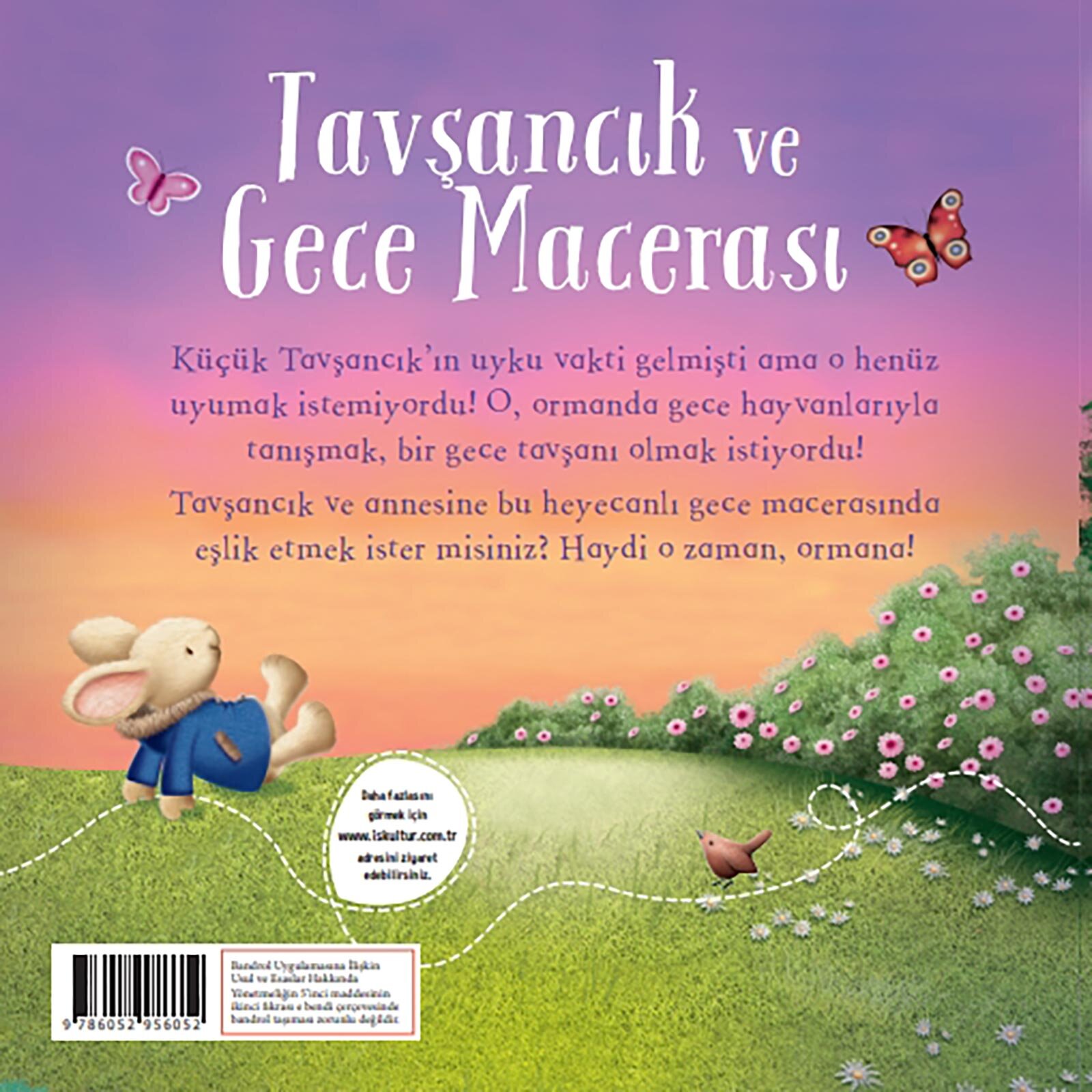 Tavşancık Ve Gece Macerası
