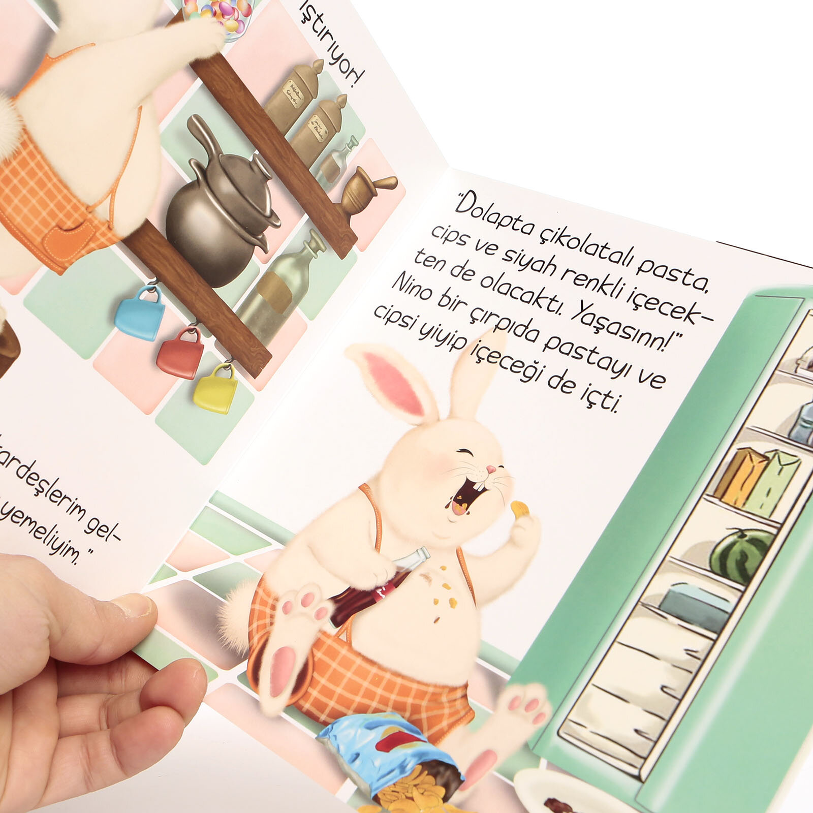 Tombik Tavşan Nino Bebek Masal Kitabı Ömer Canbir