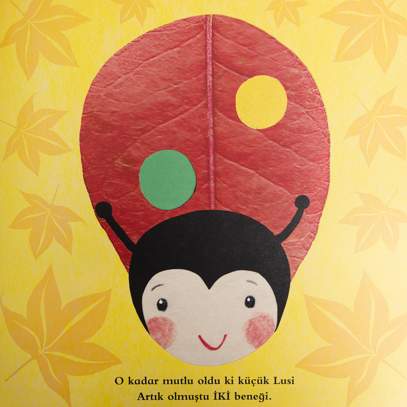 Uğur Böceği Uç Uç Lusi