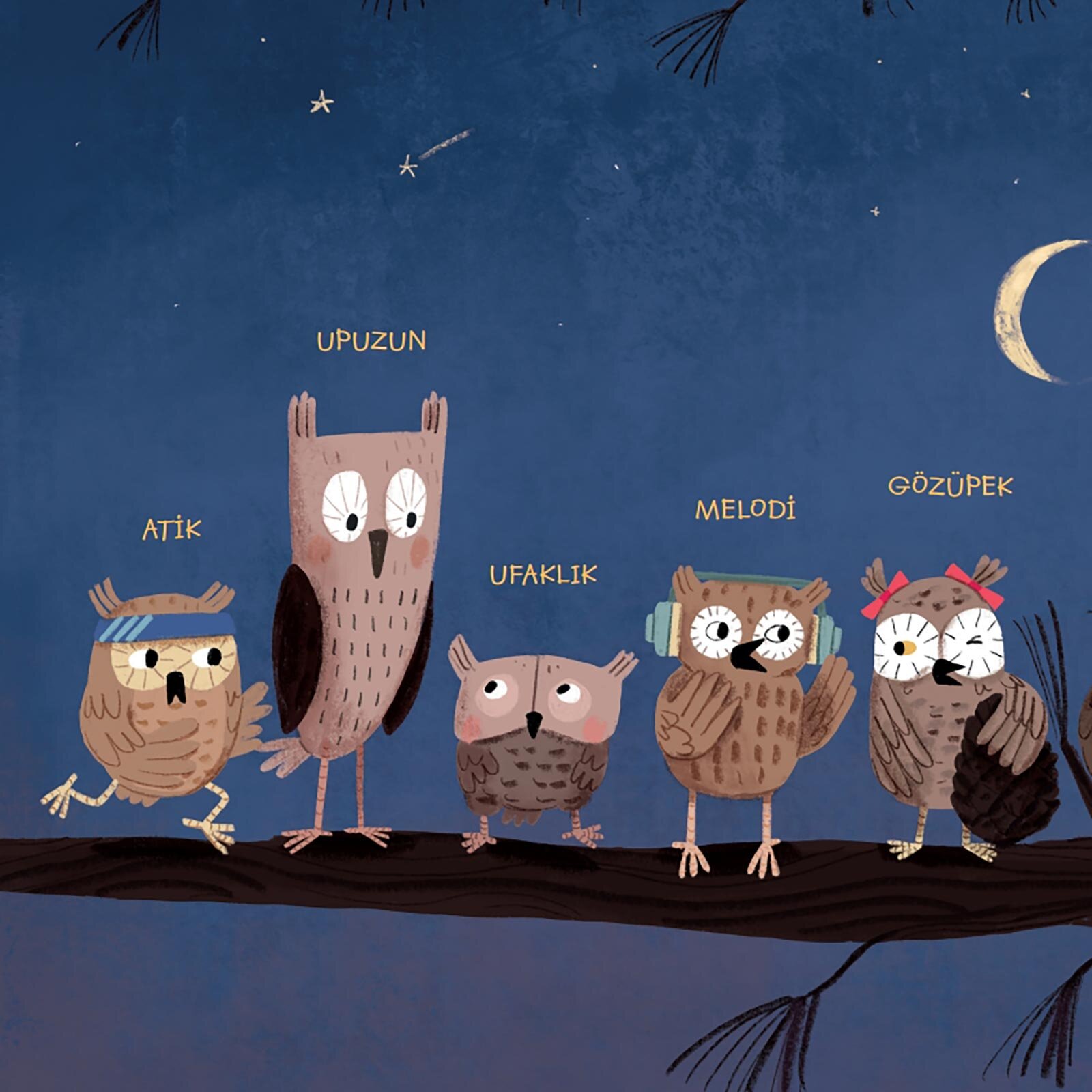 Uyumak İstemeyen 10 Küçük Baykuş Uyumak İstemeyen 10 Küçük Baykuş