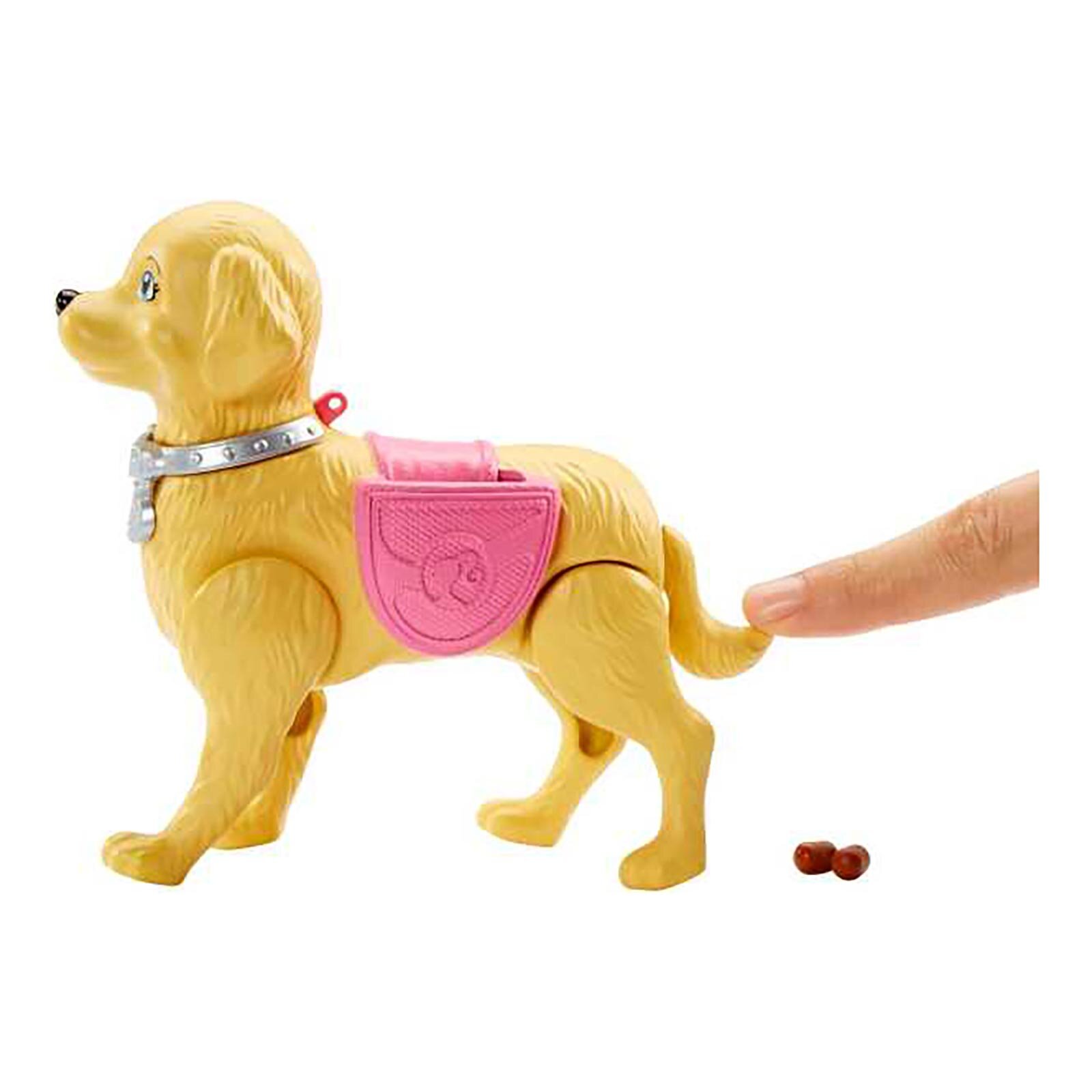 ve Köpeği Tuvalet Eğitiminde