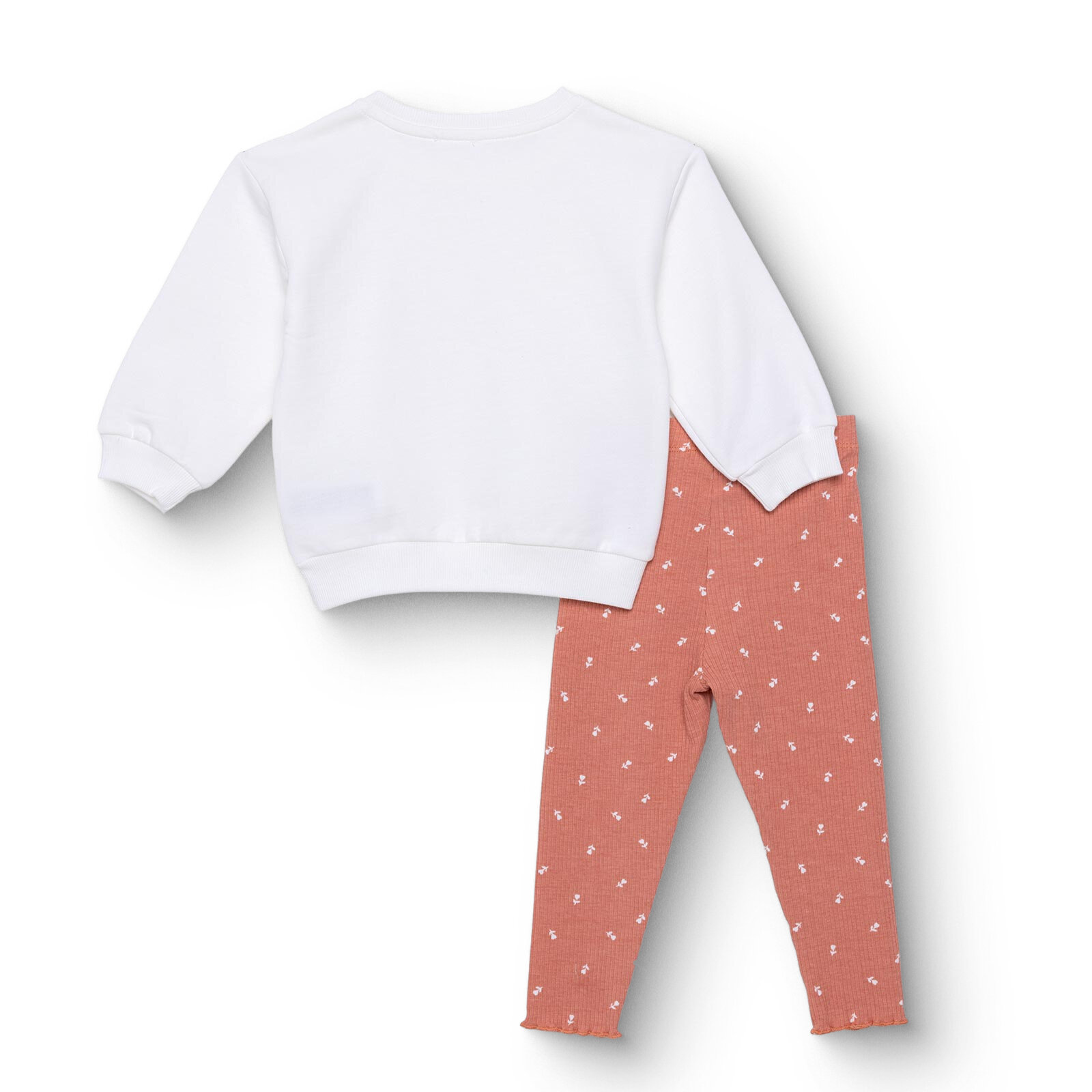 Winter Cherry Bluz-Tayt Winter Cherry Bluz-Tayt