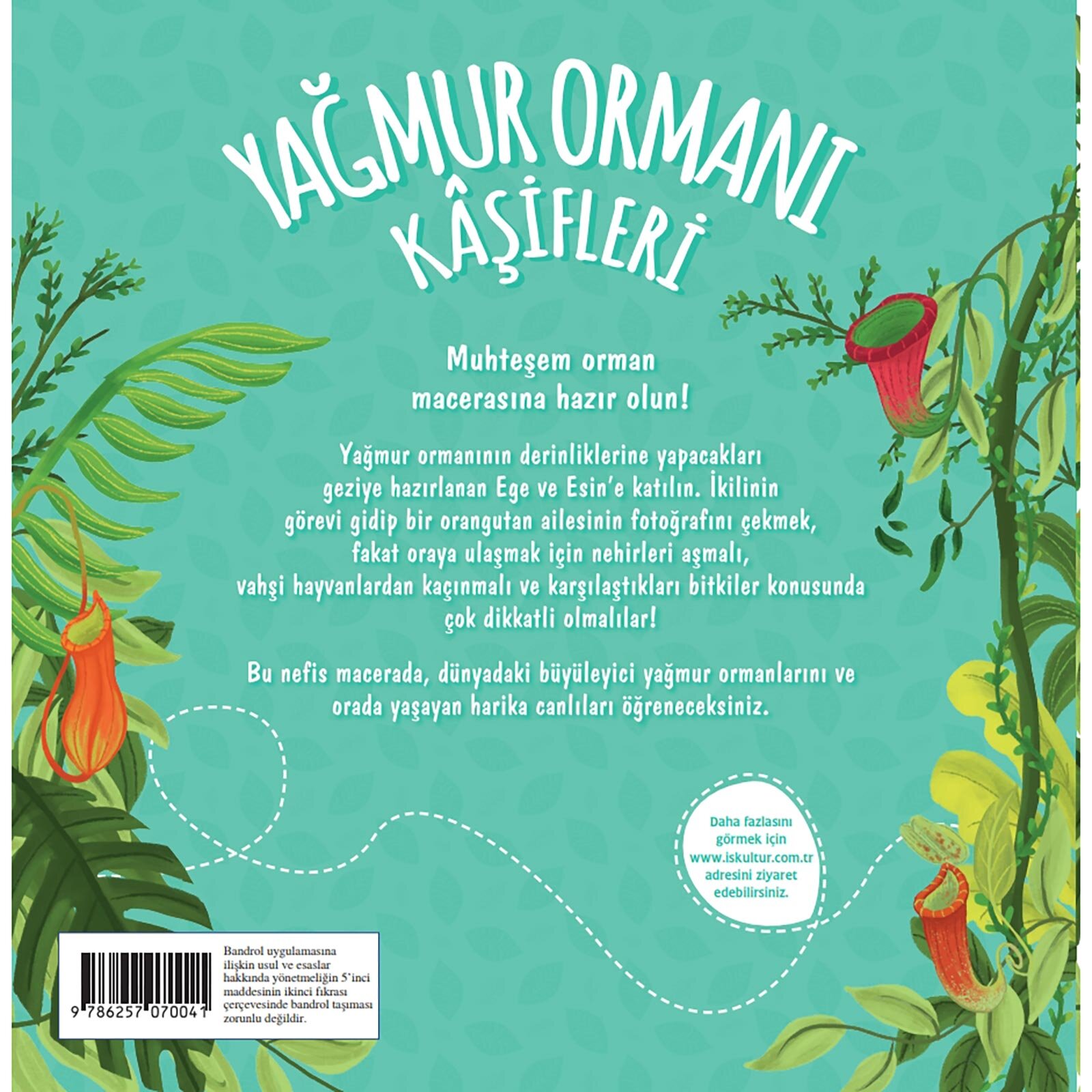Yağmur Ormanı Kaşifleri