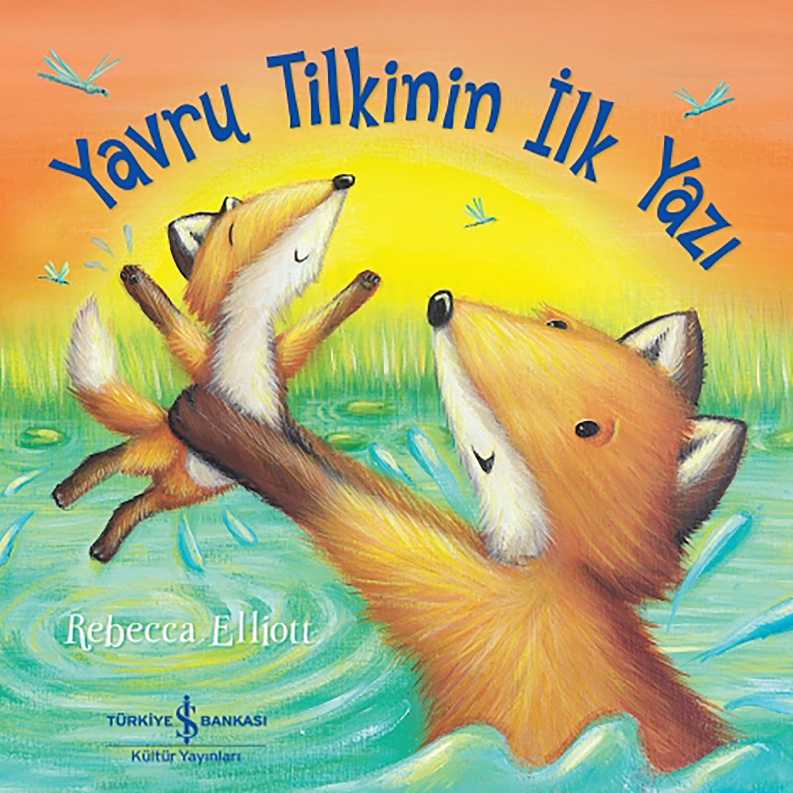 Yavru Tilkinin İlk Yazı