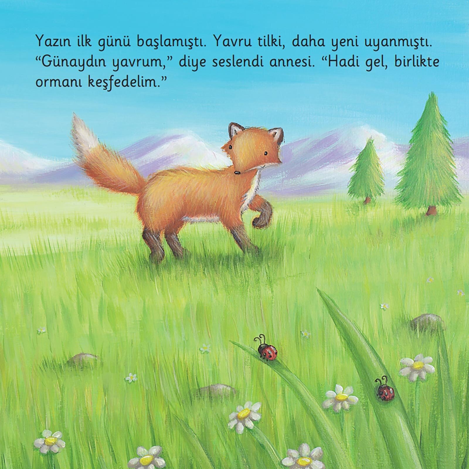 Yavru Tilkinin İlk Yazı