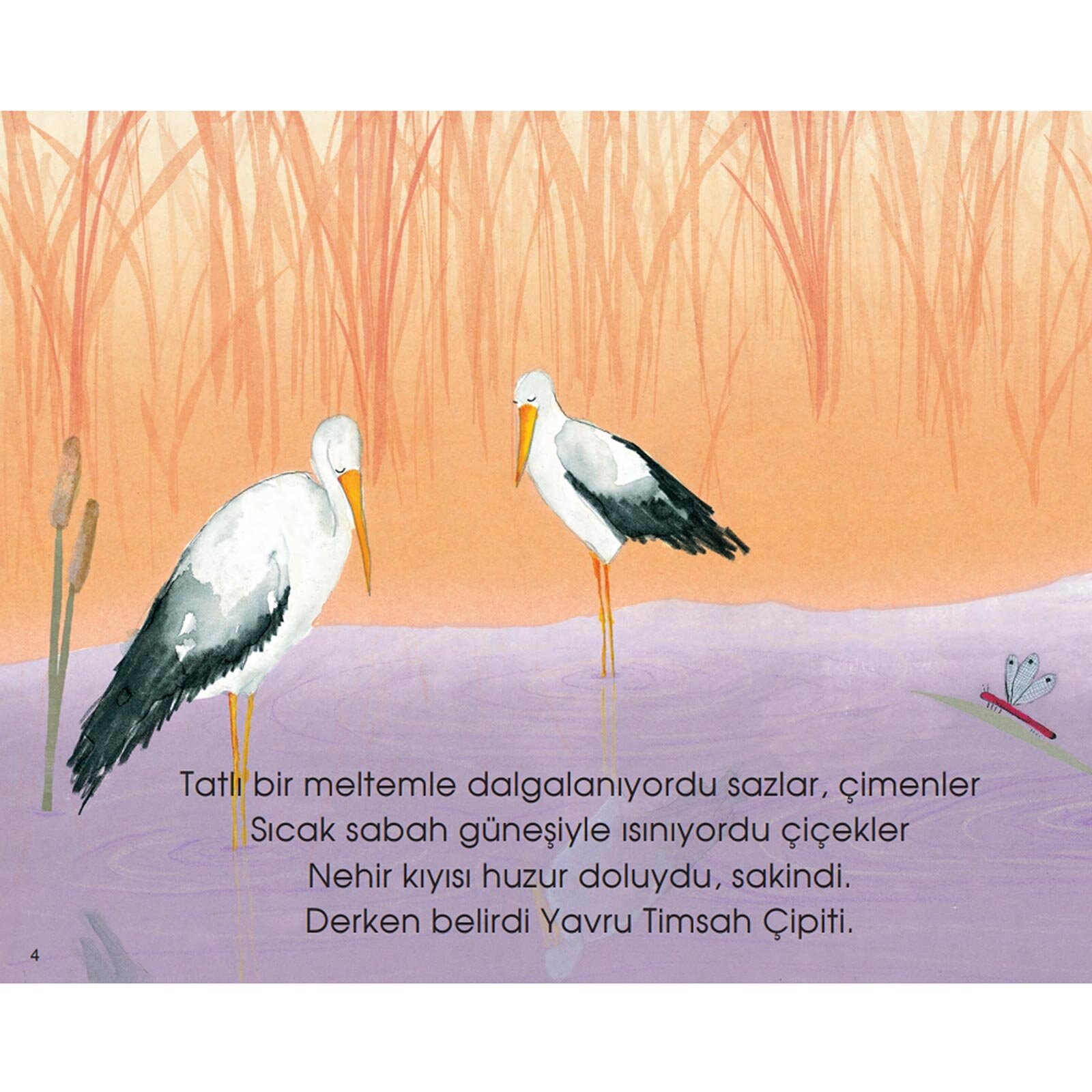 Yavru Timsah Çipiti