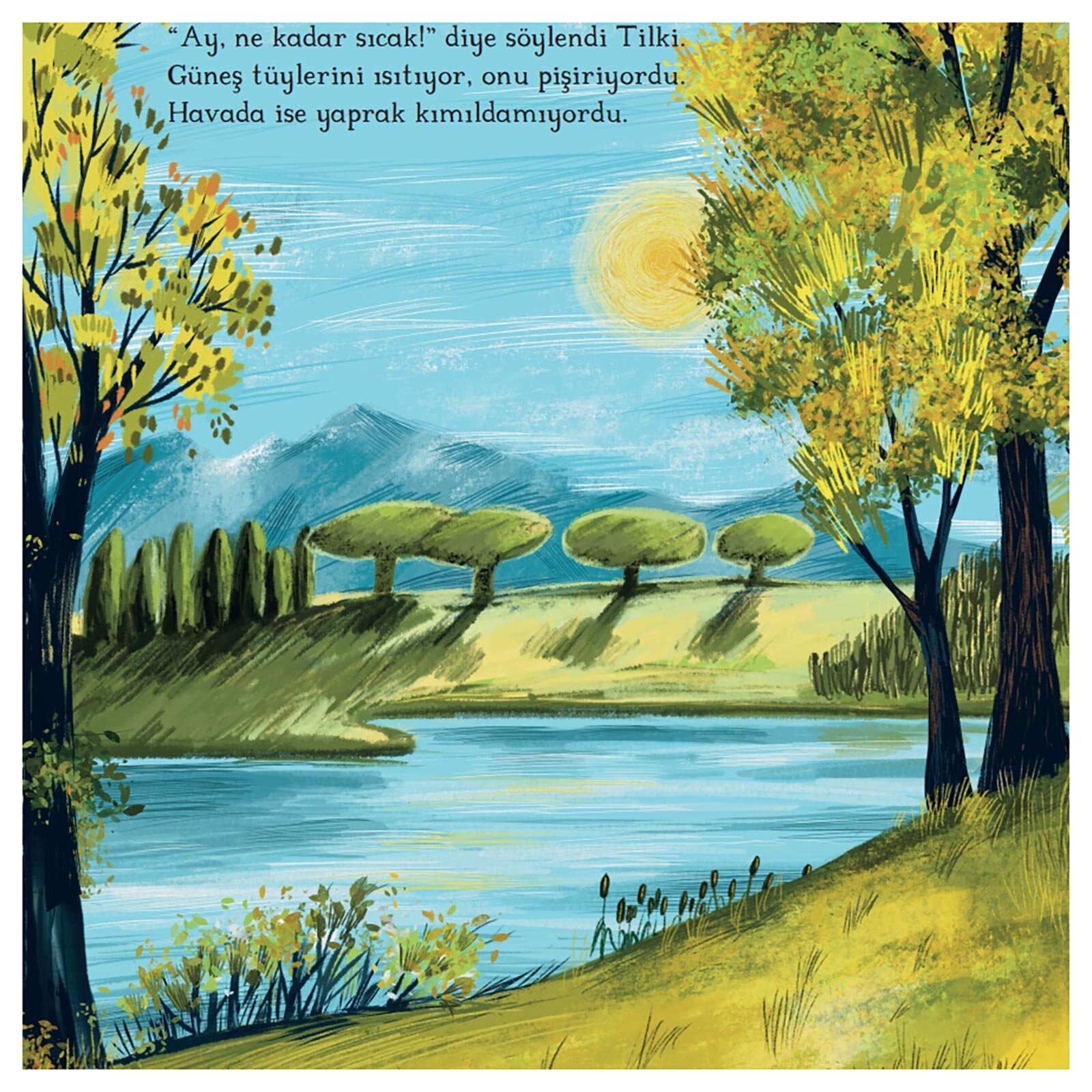 Yaz Ormanında Yaz Ormanında