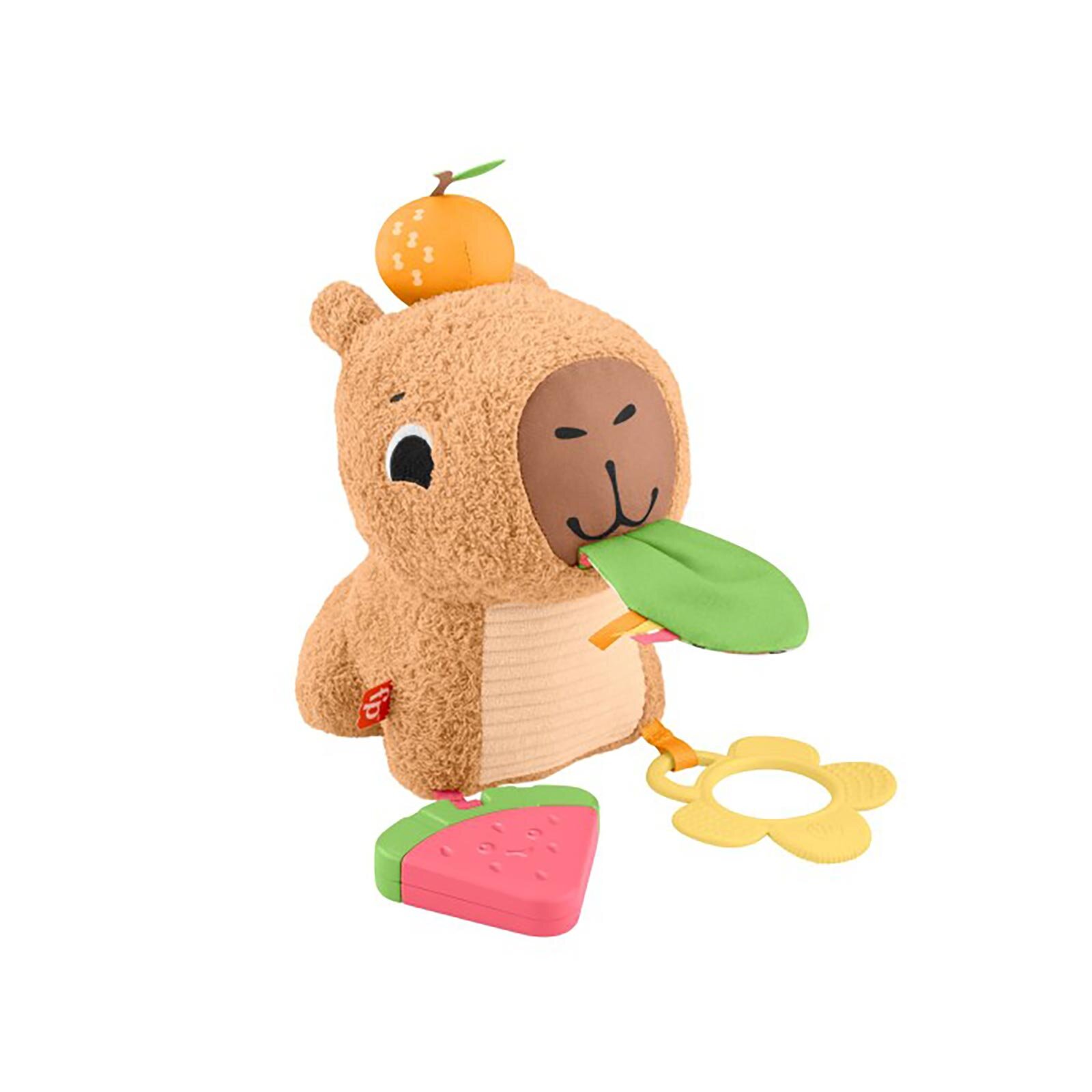 Yumuşak Kapibara Yumuşak Kapibara