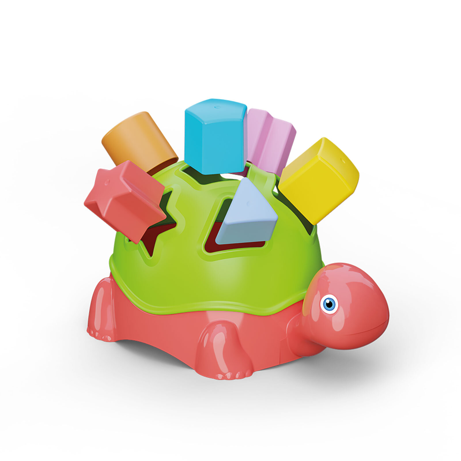 Yumuşak Kaplumbağa Bultak