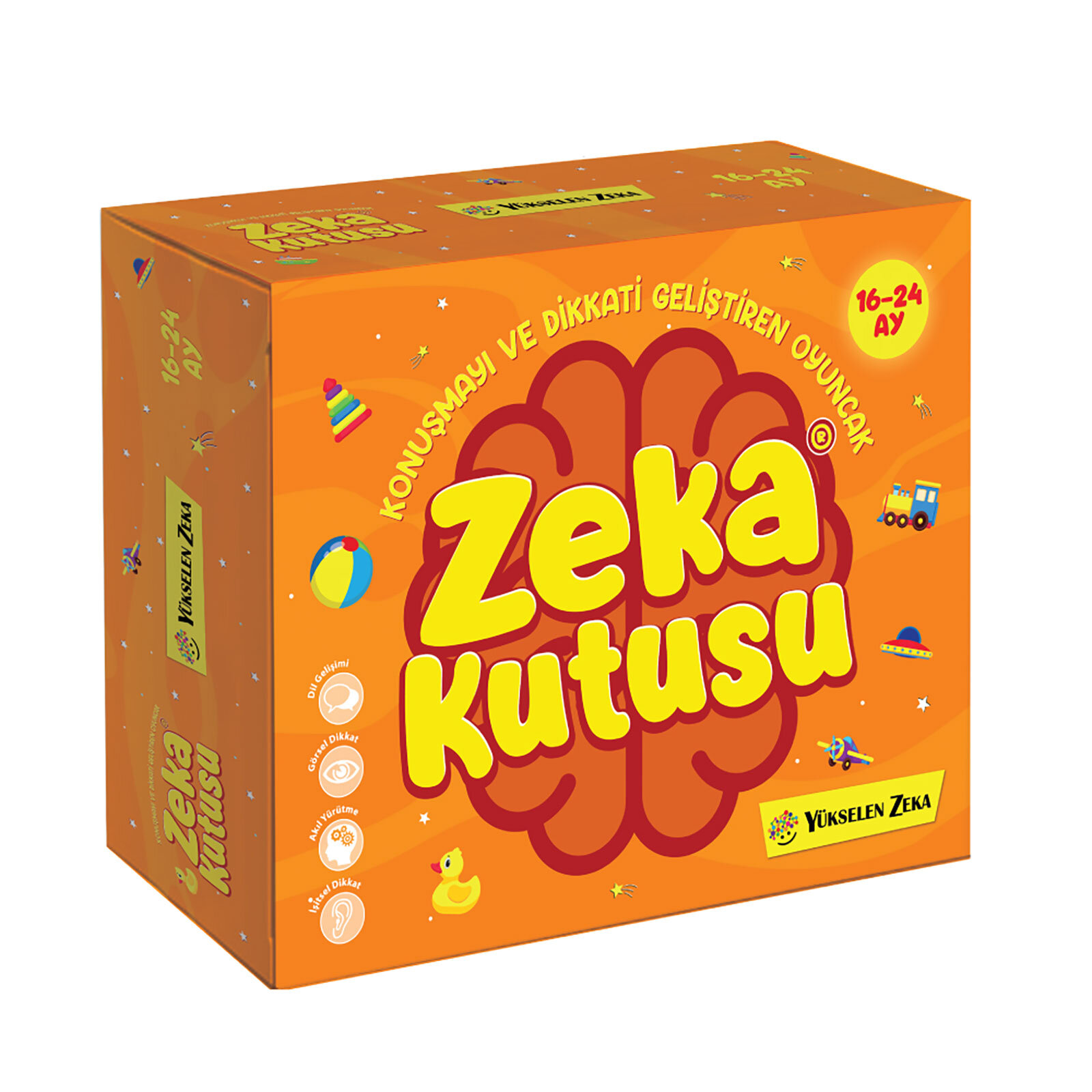 Zeka Kutusu 16-24 Ay