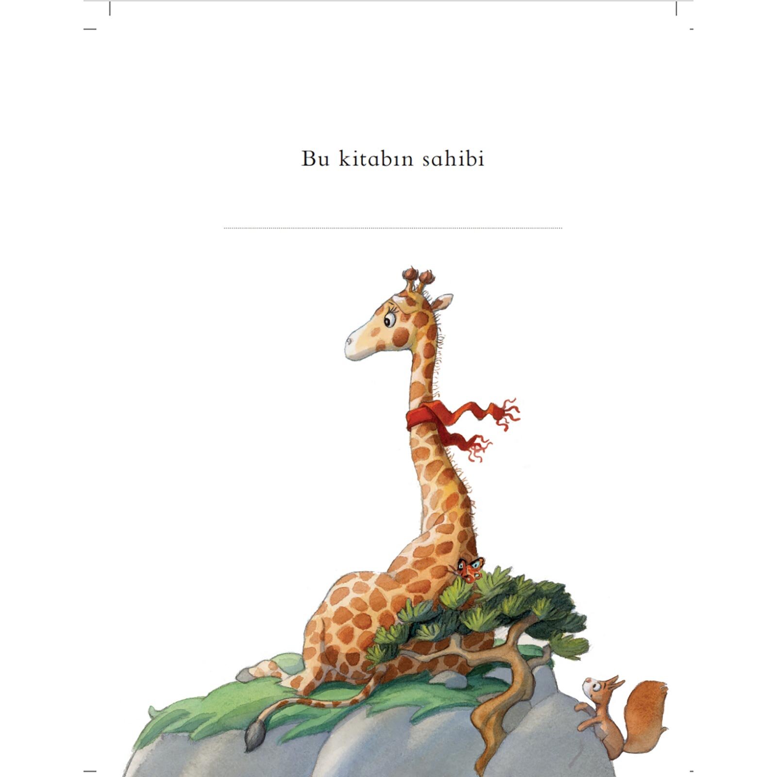 Zürafa Yeni Yuvasını Arıyor