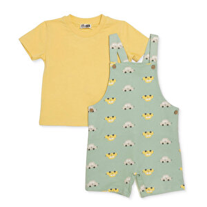 HelloBaby, Şo, Yeşil Baskılı, 3 - 6 Ay