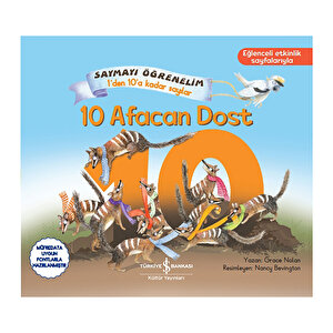 10 Afacan Dost 10 Afacan Dost