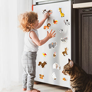 12-36 Ay İlk Magnet Puzzle 12-36 Ay İlk Magnet Puzzle