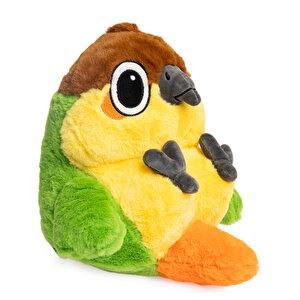 1481 Papağan 1481 Papağan