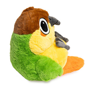 1481 Papağan 1481 Papağan