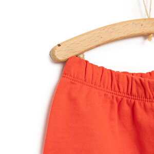 24Y Mickey Mouse Şort Erkek Bebek