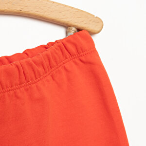 24Y Mickey Mouse Şort Erkek Bebek