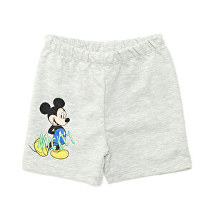 Disney 24Y Mickey Mous, Gri Melanj, 9 Ay