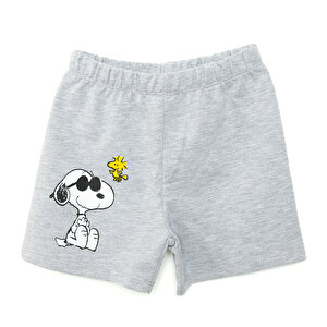 Snoopy - PEANUTS 24Y S, Gri Melanj, 9 Ay