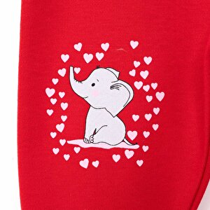 2li Çoraplı Pantolon Melanj Kız Bebek 2li Çoraplı Pantolon Melanj Kız Bebek