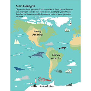 555 Eğlenceli Çıkartma - Denizin Derinliklerinde 555 Eğlenceli Çıkartma - Denizin Derinliklerinde