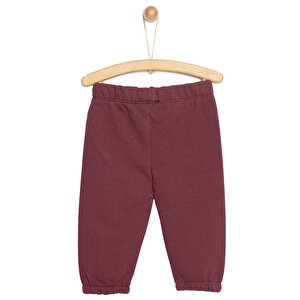 Basic Üç İplik Baskılı Eşofman Alt Kız Bebek