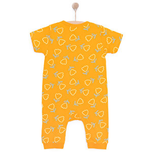 Patiksiz Tulum Patiksiz Tulum