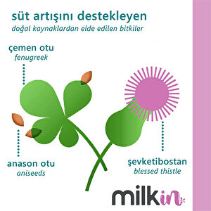 Anne Sütü Arttırıcı Gıda Takviyesi 100 Bitkisel Kapsül