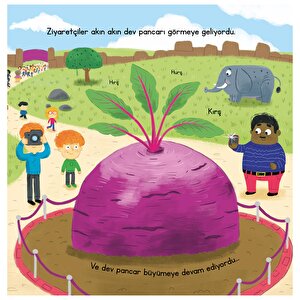 Safari Park’ta Dev Pancar Çılgınlığı