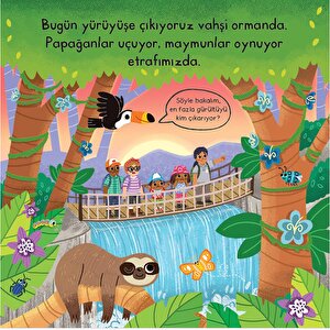 HAREKETLİ VAHŞİ ORMAN GEZİSİ HAREKETLİ VAHŞİ ORMAN GEZİSİ