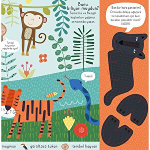 Bas – Çıkar – Oyna Vahşi Hayvanlar Bas – Çıkar – Oyna Vahşi Hayvanlar