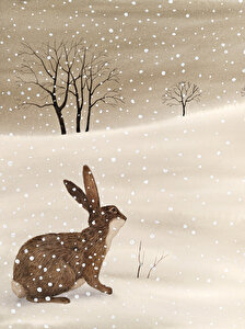 Kırmızı Elma Kırmızı Elma