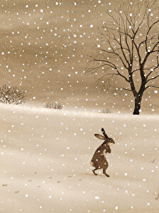 Kırmızı Elma Kırmızı Elma