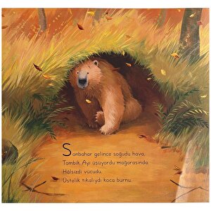 Tombik Ayı Hastalanınca Tombik Ayı Hastalanınca