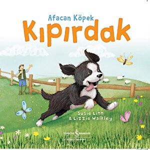 Afacan Köpek Kıpırdak