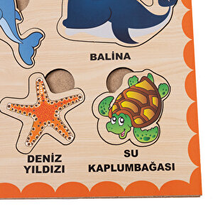 Ahşap Deniz Hayvanları Eğitici Set Ahşap Deniz Hayvanları Eğitici Set